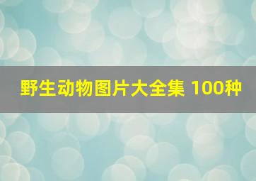 野生动物图片大全集 100种